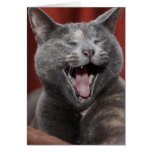 Laugh it up! greeting card