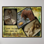 LAUGH OUT LOUD - GOLDEN RETRIEVER POSTER posters