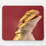 Laughing Bearded Dragon mousepads