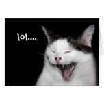 Laughing cat cards