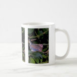 Laughing Dove Mugs