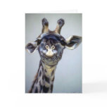 Laughing Giraffe cards