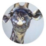 Laughing Giraffe stickers