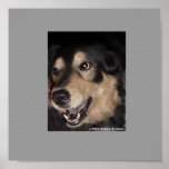 LAUGHING GUARD DOG POSTER
