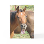 Laughing Horse Greeting Card