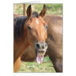 Laughing Horse cards