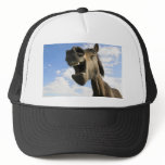 laughing horse
