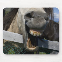 Yellow Teeth Horse