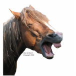 Laughing Horse Pin photo sculptures