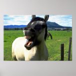 Laughing horse poster