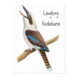 Laughing Kookaburra Postcard