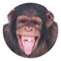 Laughing Monkey stickers