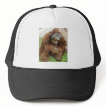 Laughing Orangutan Hat