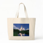 Launch of Space Shuttle bags