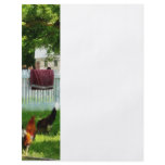 Laundry Hanging on Fence flyers