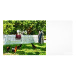 Laundry Hanging on Fence photo cards