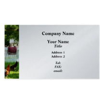 Laundry Hanging on Fence - Platinum Business Cards