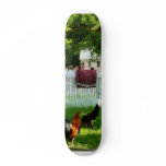 Laundry Hanging on Fence skateboards