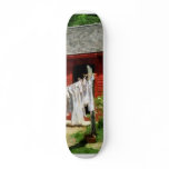 Laundry Hanging on Line skateboards