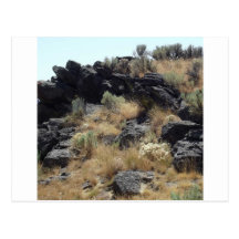 Lava Rock Post Cards