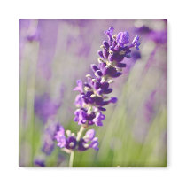 Lavendar | Lavendel Fridge Magnets