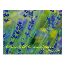 Lavendel • Save the Date Postkarte Post Card