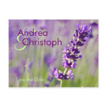 Lavendel • Save-the-Date-Postkarte postcards
