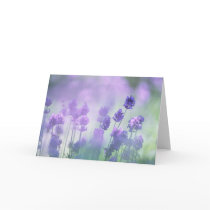 Lavender 2 greeting cards