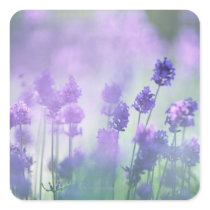 Lavender 2 stickers