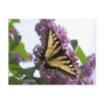 Lavender Afternoon Post Cards