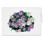 Lavender and White Stokes Asters Greeting Card
