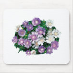 Lavender and White Stokes Asters mousepads