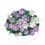 Lavender and White Stokes Asters stickers