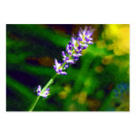 Lavender  Artcard ACEO