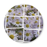 Lavender Aster magnets