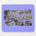 Lavender Aster mousepads