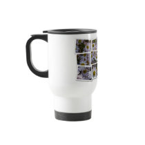 Lavender Aster Kaffee Tassen