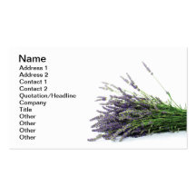Lavender Business Card Templates