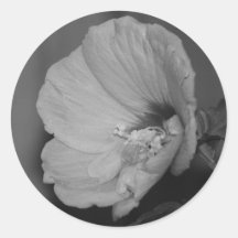 Lavender Chiffon Hibiscus Round Stickers
