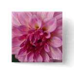 "Lavender Dahlia" Pin buttons