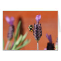 Lavender Delight cards