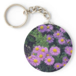 Lavender Dunkle Schone Aster, (Aster Alpinus) flow keychains