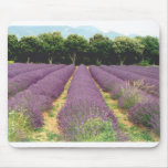 Lavender Field - Drome Provencal, France Mouse Mat