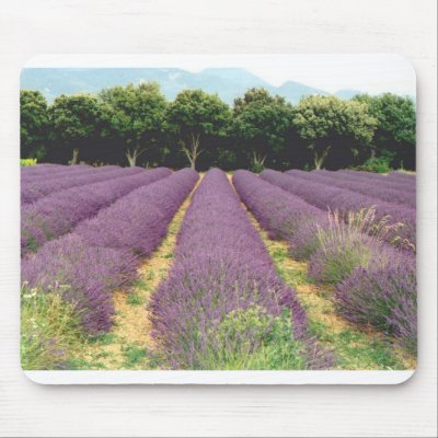 Lavender Field - Drome Provencal, France Mouse Mat by SusanGZimmerman