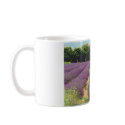 Lavender Field - Drome Provencal, France mugs
