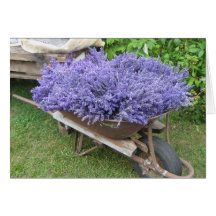 Lavender Filled Wheelbarrow Cards