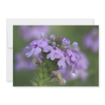 Lavender Flower Cluster Invitations