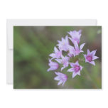 Lavender Flower Invitations
