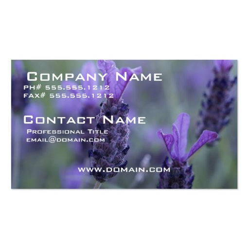 Lavender Flower Photo Business Card
