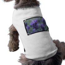 Lavender Flower Photo Pet Shirt